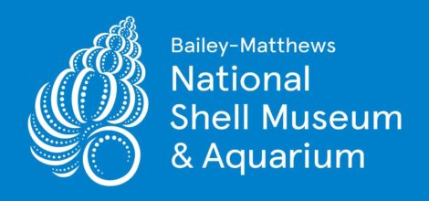 article image - Bailey-Matthews National Shell Museum & Aquarium logo